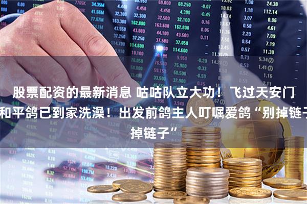 股票配资的最新消息 咕咕队立大功!飞过天安门的和平鸽已到家洗澡!出发前鸽主人叮嘱爱鸽“别掉链子”