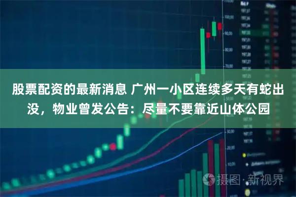 股票配资的最新消息 广州一小区连续多天有蛇出没，物业曾发公告：尽量不要靠近山体公园
