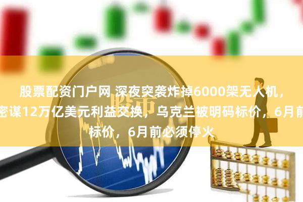 股票配资门户网 深夜突袭炸掉6000架无人机，美俄私下密谋12万亿美元利益交换，乌克兰被明码标价，6月前必须停火