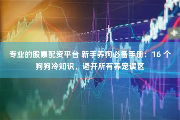 专业的股票配资平台 新手养狗必备手册：16 个狗狗冷知识，避开所有养宠误区