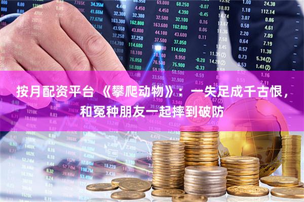 按月配资平台 《攀爬动物》:一失足成千古恨,和冤种朋友一起摔到破防