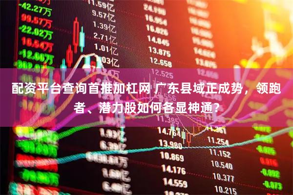 配资平台查询首推加杠网 广东县域正成势，领跑者、潜力股如何各显神通？